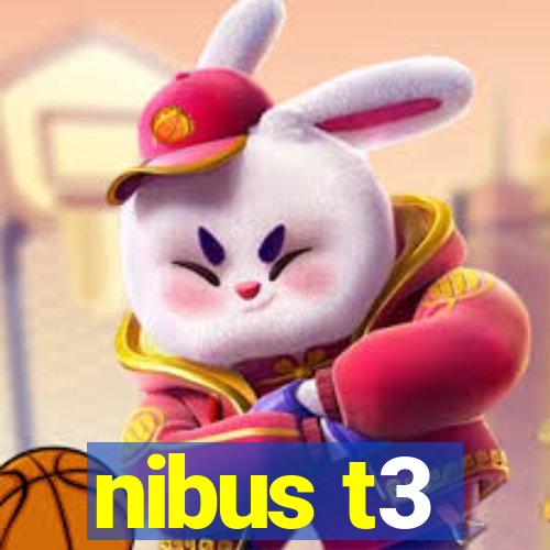 nibus t3